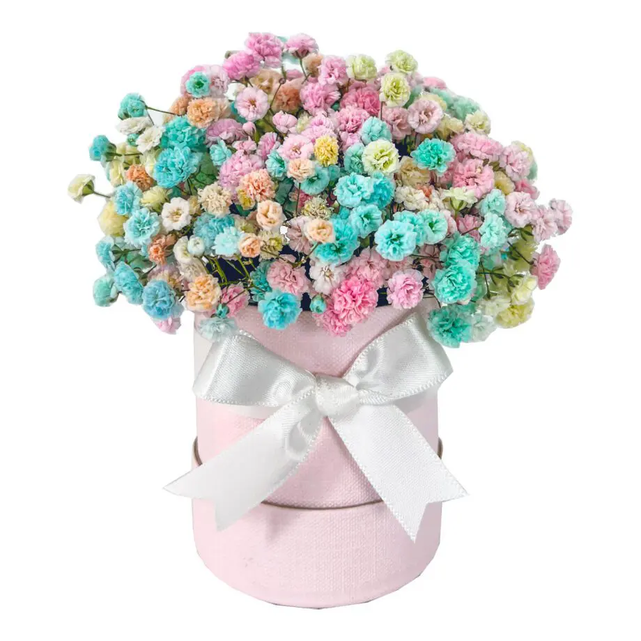 Mini-Rainbow-Aria-Bloom-Box-Party-Perfect