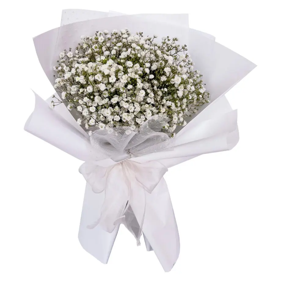 Babys-Breath-Flower-Bouquet-Pink-Petals
